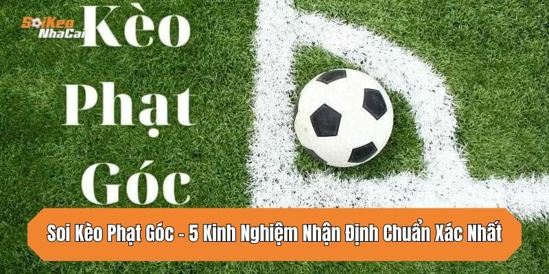 soi-keo-phat-goc-cap-nhat-5-kinh-nghiem-nhan-dinh-chuan-xac-nhat
